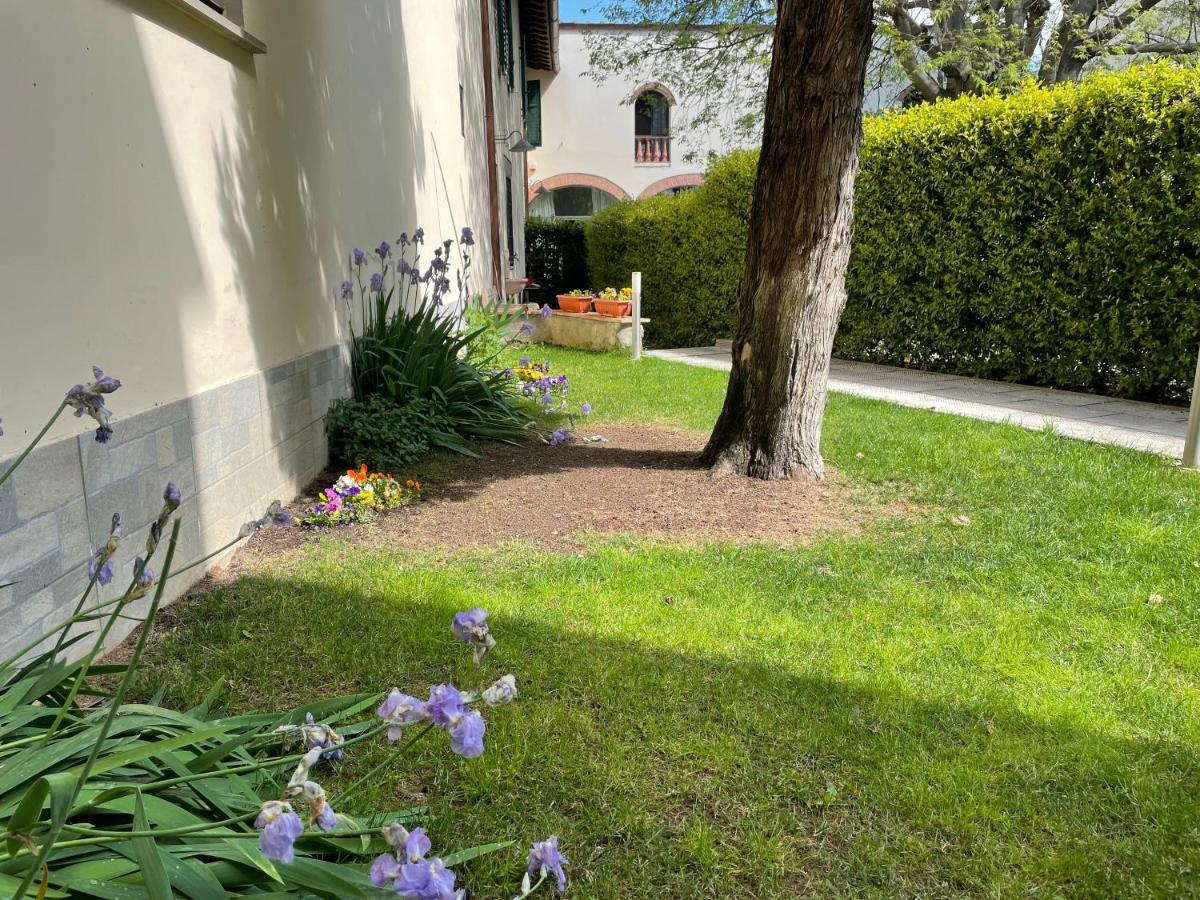Dalu Florence Apartment Davide - Private Car Park 15 Minutes To The City Center エクステリア 写真