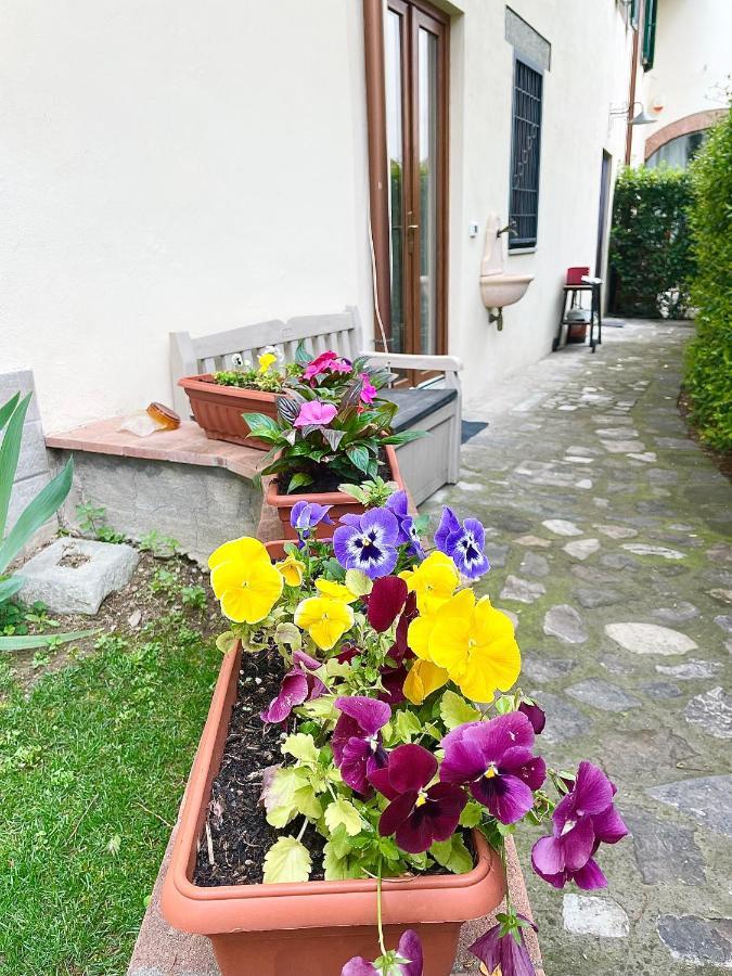 Dalu Florence Apartment Davide - Private Car Park 15 Minutes To The City Center エクステリア 写真