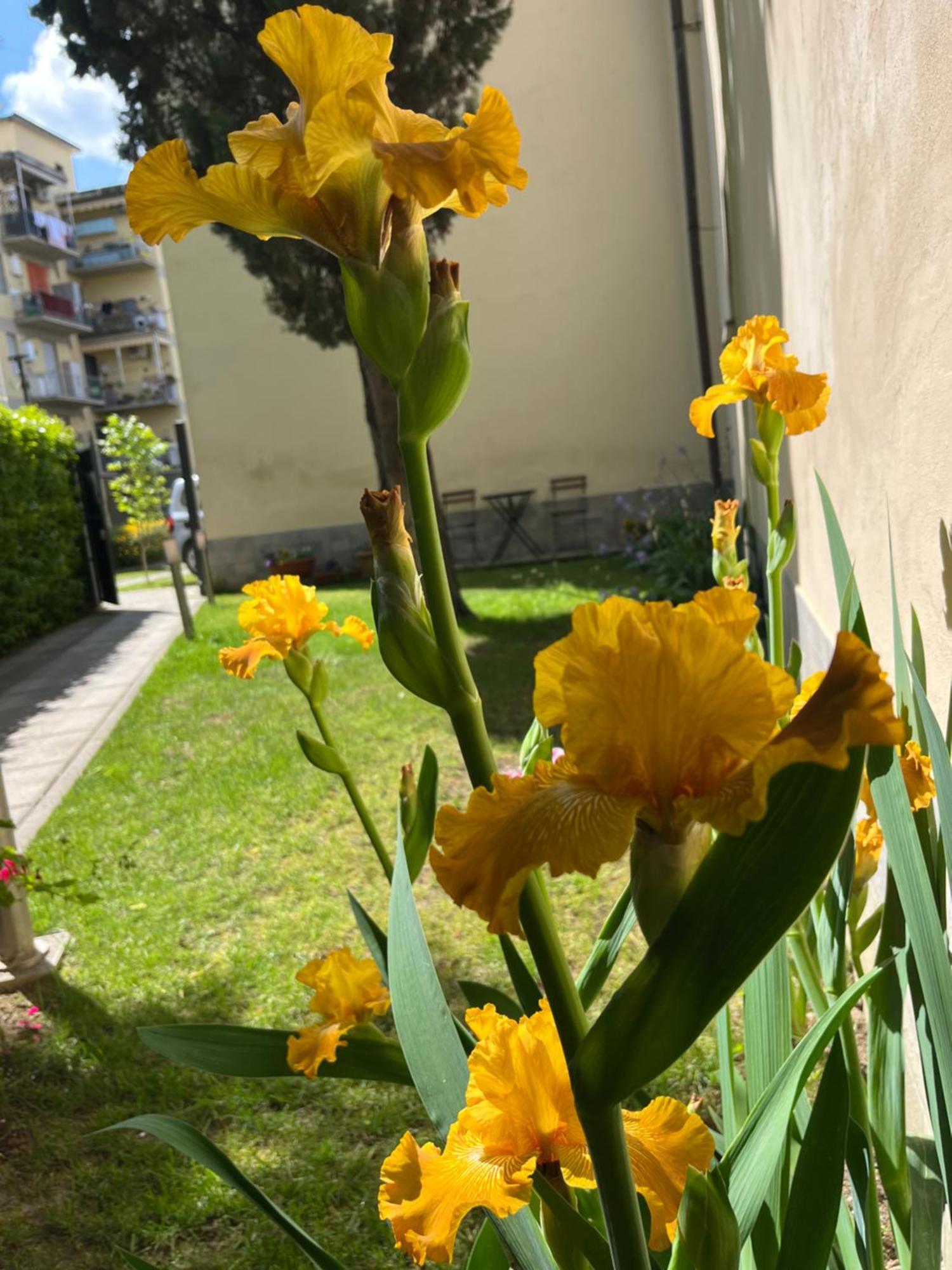 Dalu Florence Apartment Davide - Private Car Park 15 Minutes To The City Center エクステリア 写真